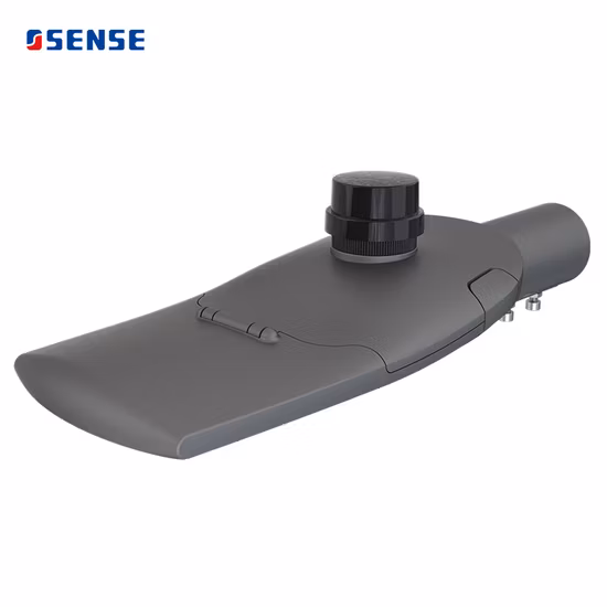 Outdoor Garden Sensor 30W 50W 100W LED Solar Lamp Street Lamp